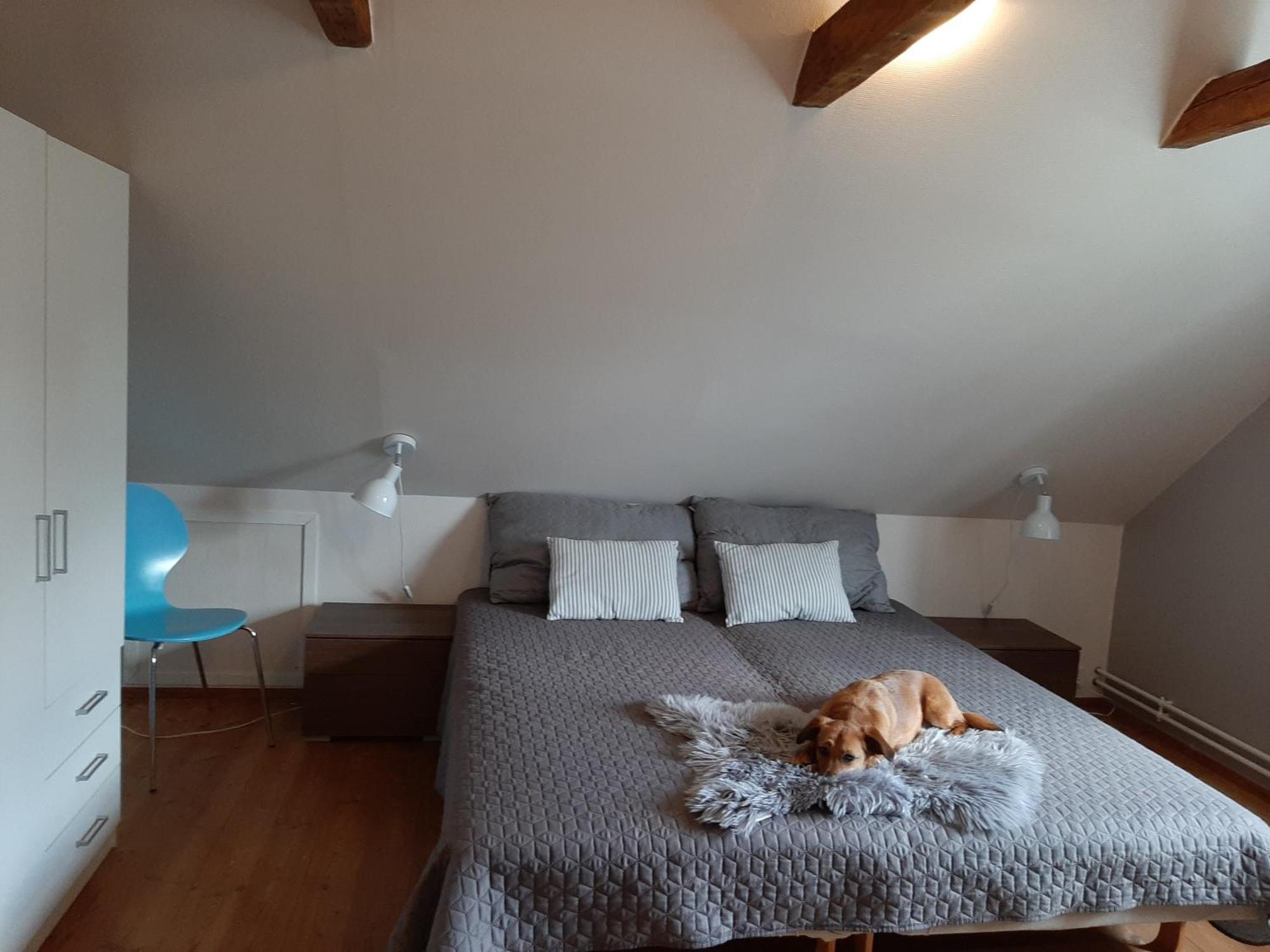 Stor Villa I Lendemarke Stege Buitenkant foto
