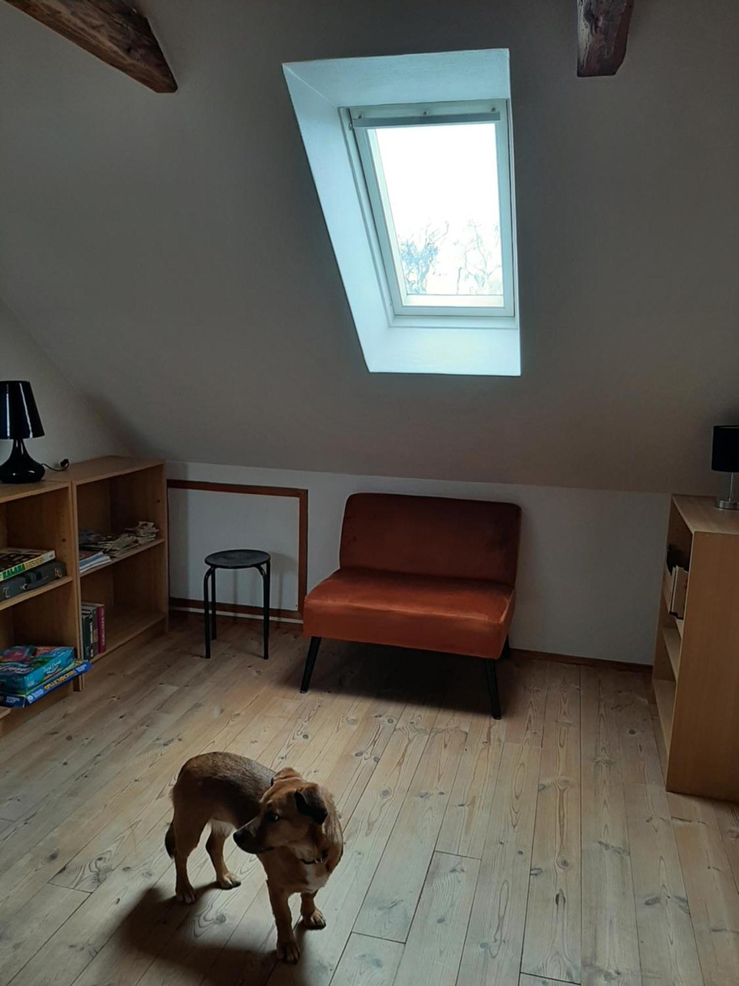 Stor Villa I Lendemarke Stege Buitenkant foto